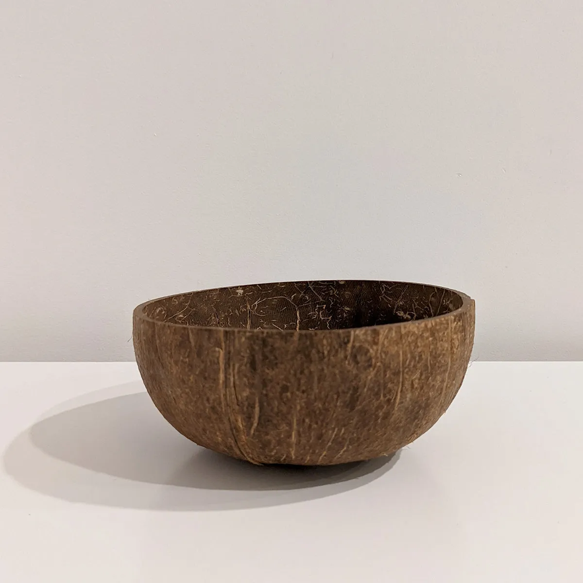 Coconut Shell Bowl